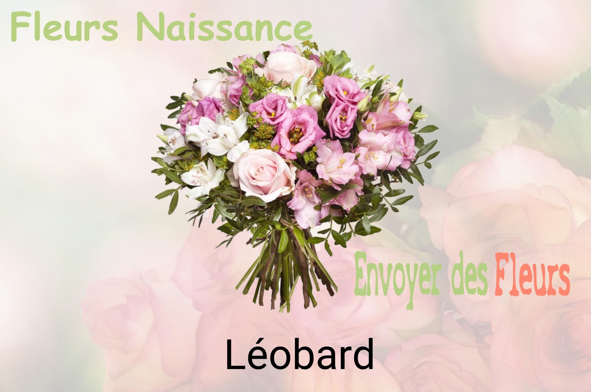 Bouquet de fleurs de naissance livré à Léobard