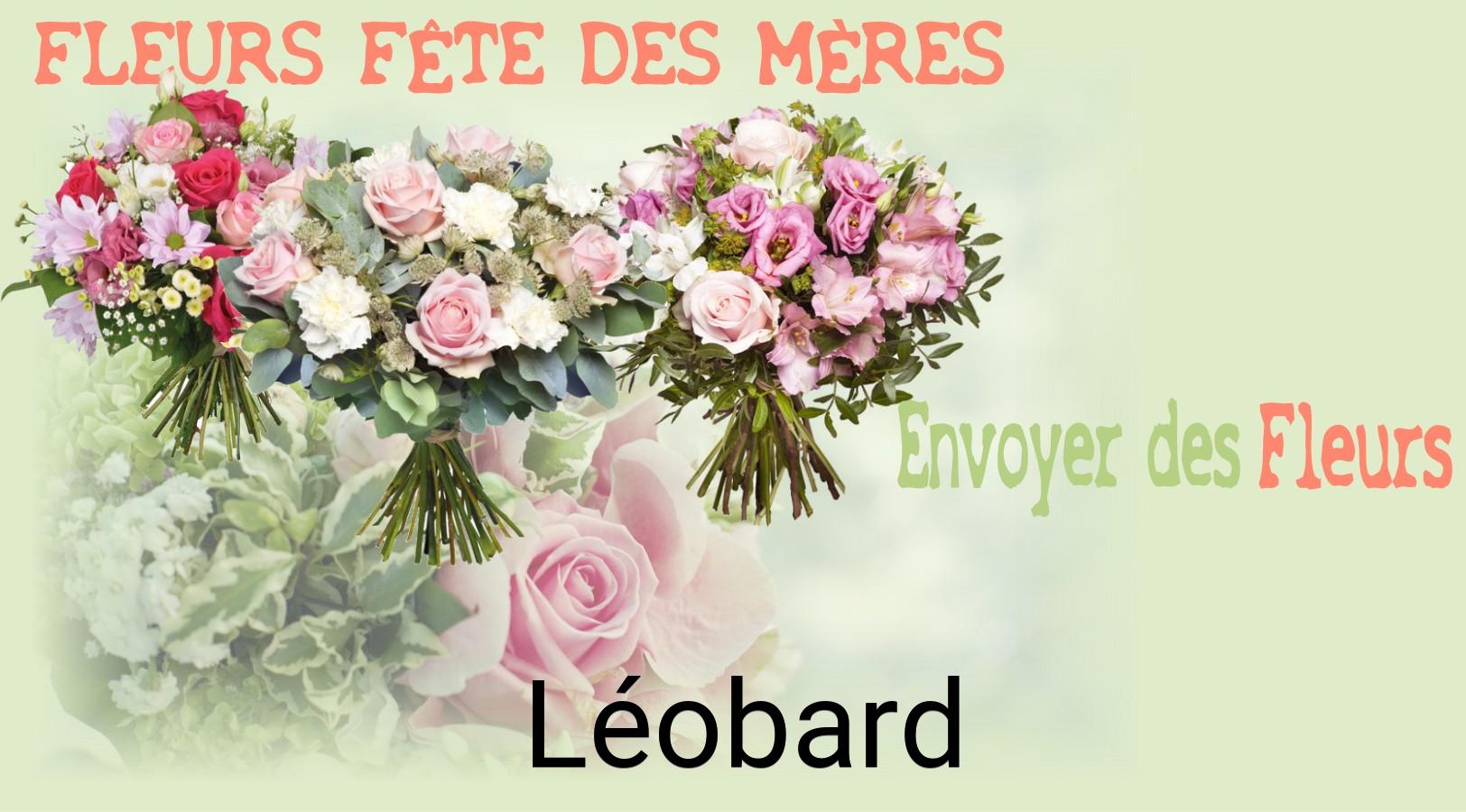 Bouquet de Fête des Mères livré à Léobard